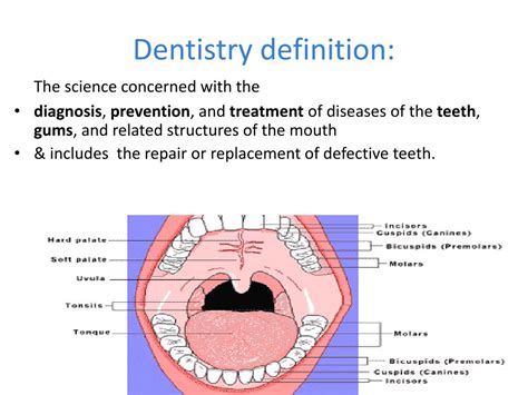 Dentistry Definition Who