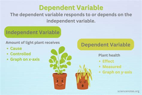 dependent variable science experiment examples