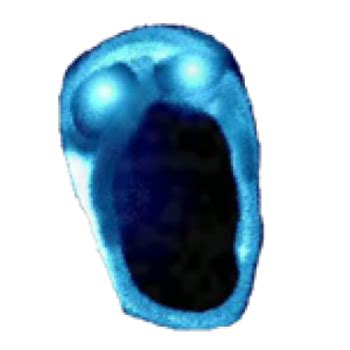 Depth Doors Roblox Fandom