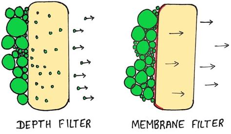 Depth Filtration And Membrane Filtration