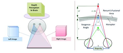 Depth Perception From Binocular Disparity