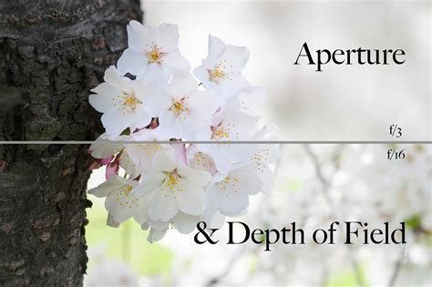 depth photography examples