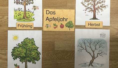 Apfelbaum Jahreszeiten Grundschule