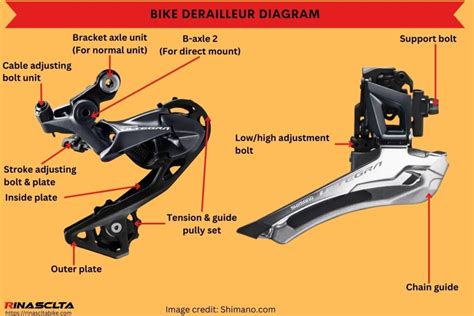 Derailleur Bicycle Function