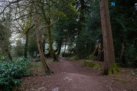 Derrymore Park Newry