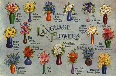 des fleurs meaning in english