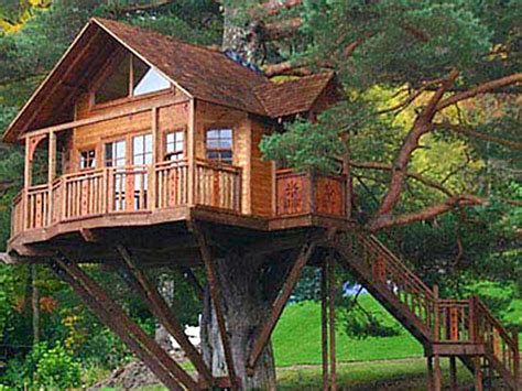 Desain Rumah Pohon Menarik Rumah Minimalis
