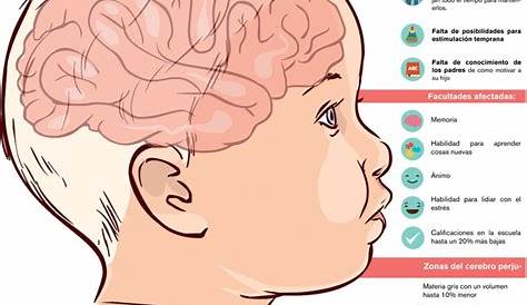 Desarrollo Del Cerebro Del Niño De 0 A 3 Años - Actividad del Niño