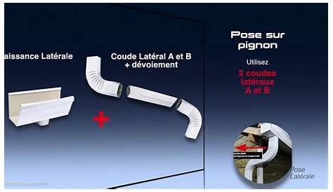Descente De Gouttiere Zinc Iso Originelle