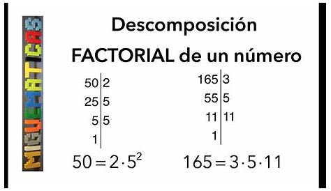 Ejercicio 1. Descomposición factorial. Unidad 2. 1º ESO - YouTube
