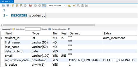 describe table in mysql workbench