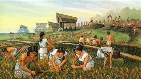 describe the agricultural revolution