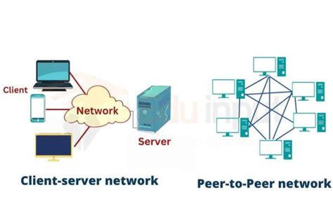 describe the difference between a client server network and a peer to peer network