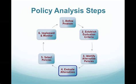 describe the model used for policy analysis
