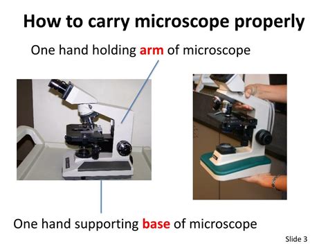 Describe The Position Of Your Hands When Carrying The Microscope To And From Your Laboratory Bench