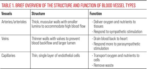 describe the structure and function of the retina