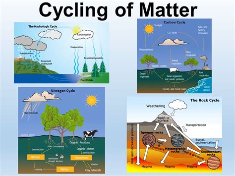 describe two examples of how matter moves through a cycle on earth