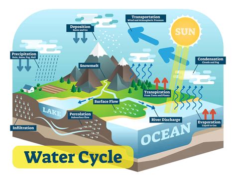 describing the full water cycle
