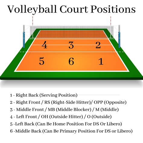 Description Of A Volleyball