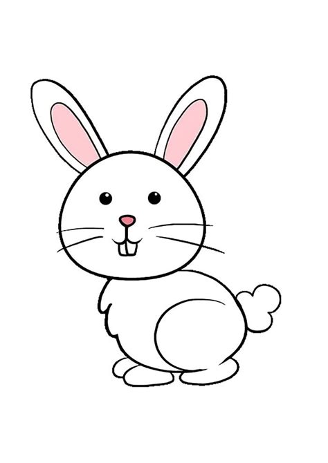 desenho de um coelho