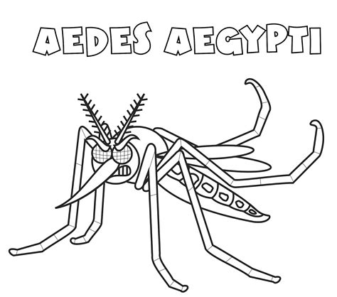 desenho do mosquito da dengue