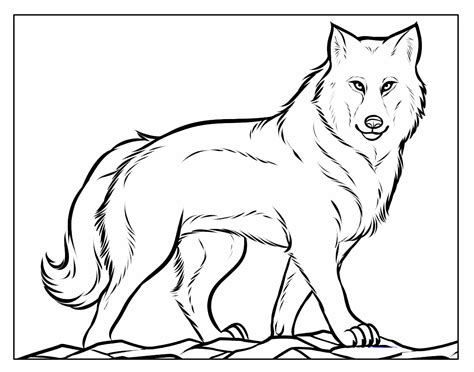 desenho para colorir do lobo