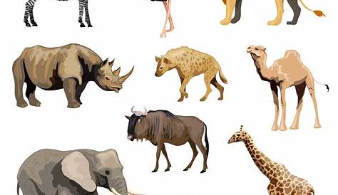 Desenhos de animais africanos | Vetor Premium
