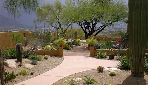Tucson Pool & Landscape Ideas - Valley Oasis Pools | Large backyard