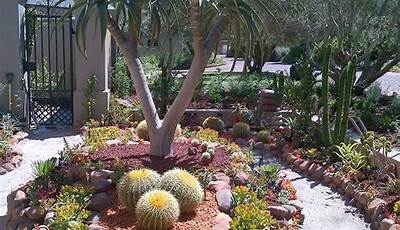 Desert Plants For Home Garden