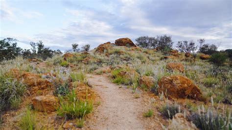 desert funerals alice springs