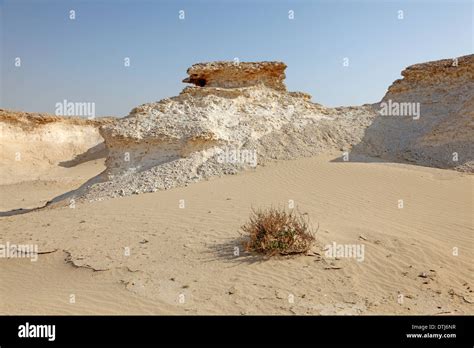 desert landscape Qatar