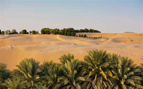 desert oasis in uae