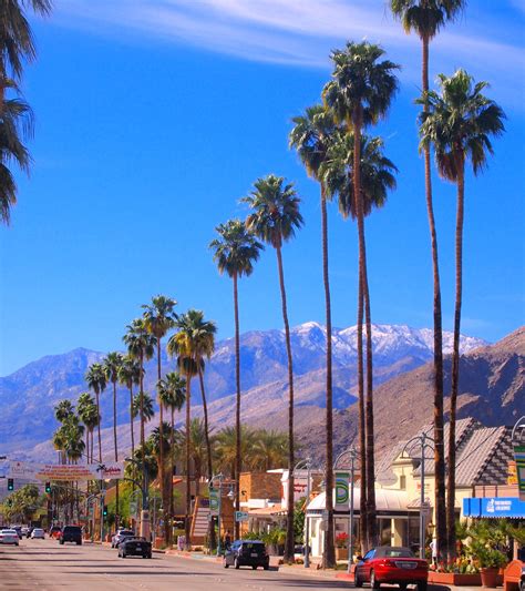 desert palm palm springs