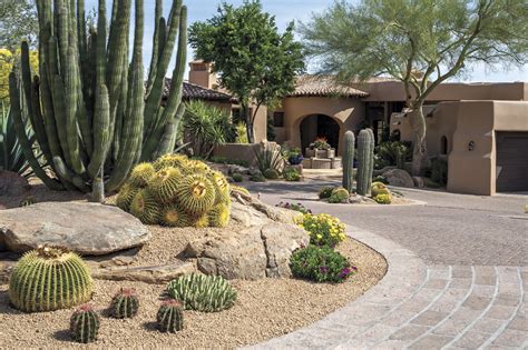 desert rain landscaping