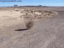 Desert Rolling Gif