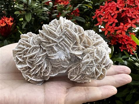 Desert Rose Crystal Power: Healing and Spiritual Benefits Explored