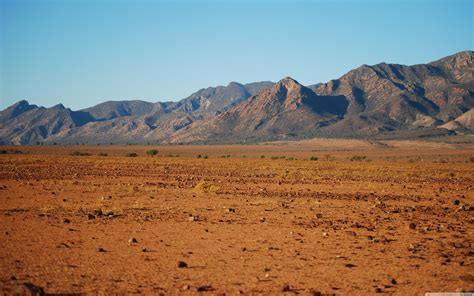 desert scenery