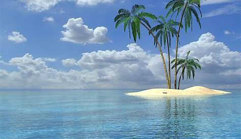 Deserted Island in Maldives...literally an island with 1