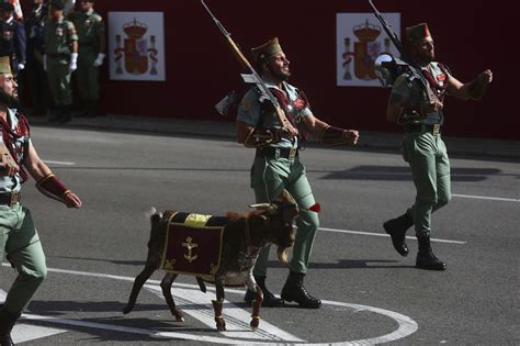 desfile 12 octubre 2023 ver