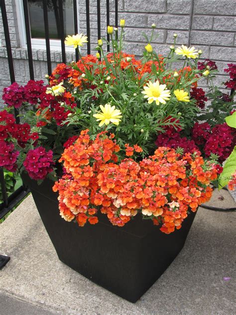 design container flower garden