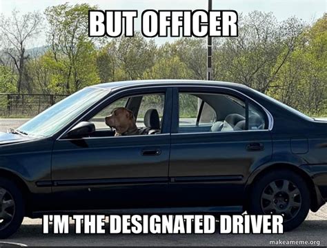 Designated Driver Meme