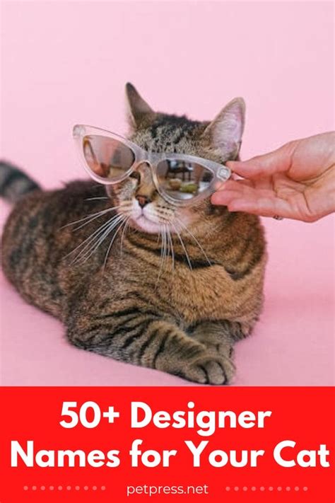 Designer Cat Names