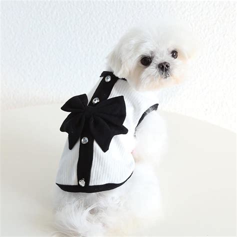Designer Tiny Dog Clothes