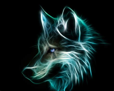 designer wolf profile wallpaper