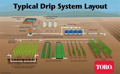 designing a drip line irrigation system