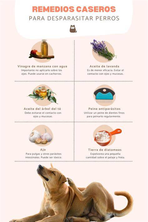 Pastillas desparasitacion interna perros Actualizado octubre 2022