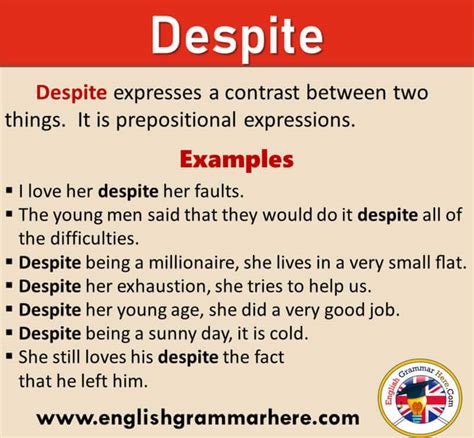 despite meaning in english with example