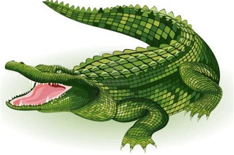 Dessin animé mignon de crocodile Télécharger des Vecteurs Premium