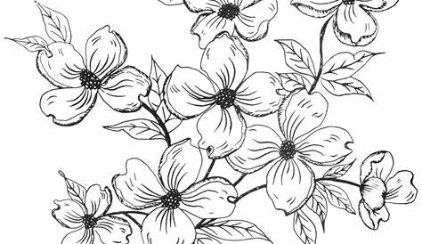 Dessin De Fleur En Noir Et Blanc Facile 1001 + Modèles Conseils Pour Apprendre Comment er