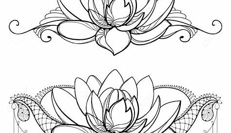 Dessin Fleur De Lotus Noir Et Blanc Vecteur Nénuphar Magnifique Boutons, Jeu